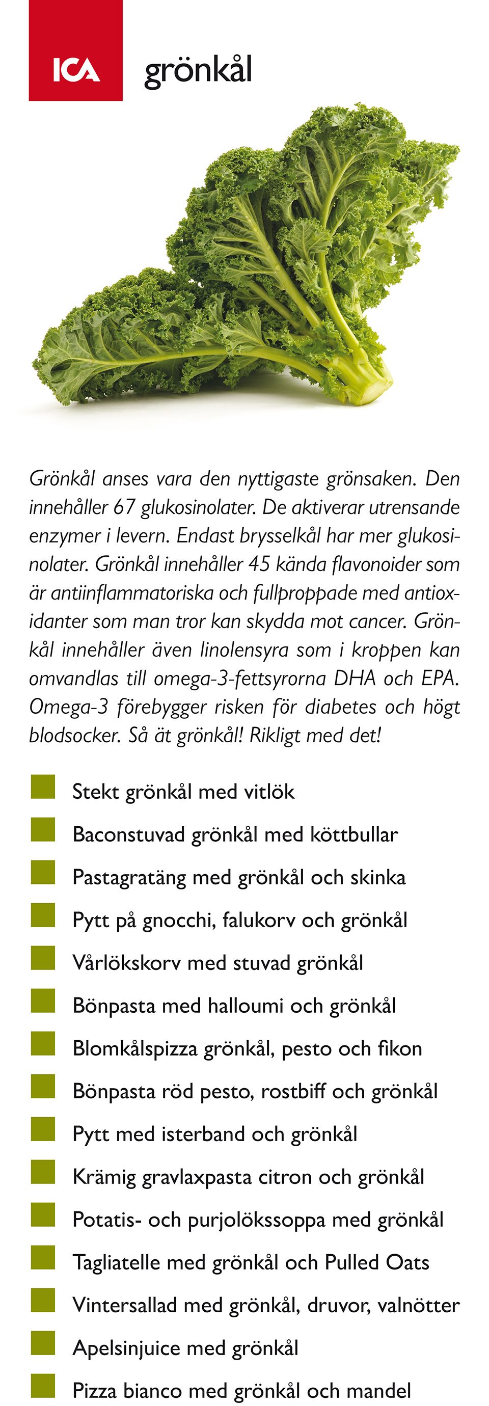 Vecka51-Recept-Grönkål